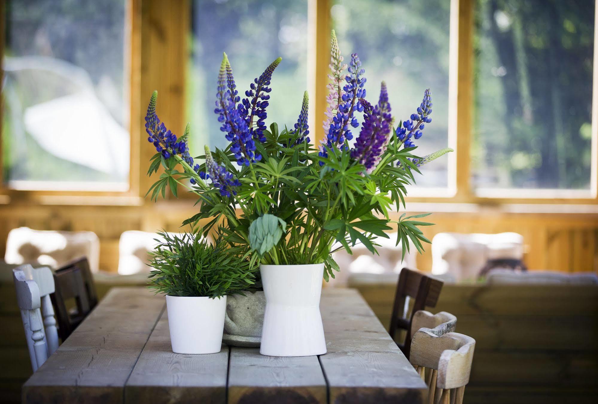 Guesthouse Eleven Hotel Arvika Zewnętrze zdjęcie